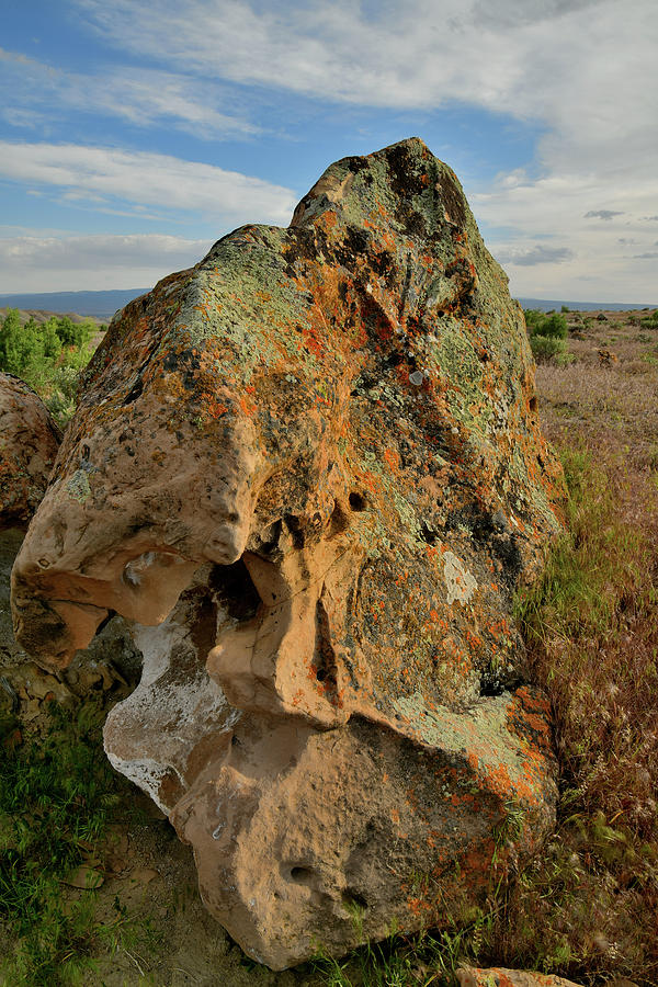 Lichen Covered Boulder in Book Cliffs #1 Photograph by Ray Mathis