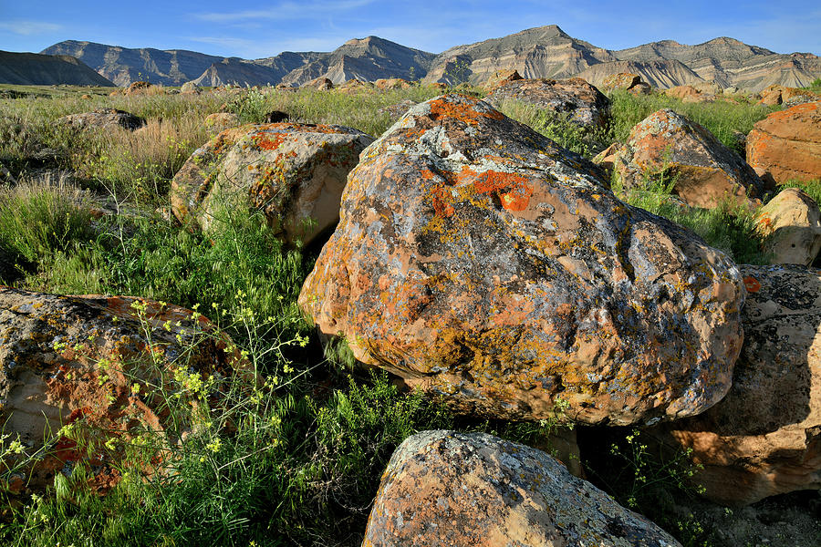 Lichen Covered Boulders of Book Cliffs #1 Photograph by Ray Mathis