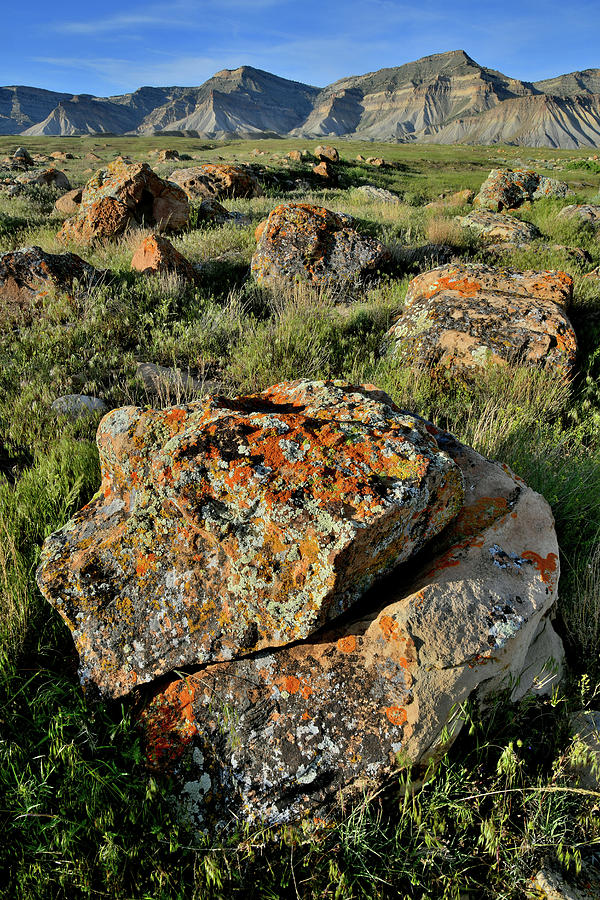 Lichen Covered Boulders of the Book Cliffs #1 Photograph by Ray Mathis