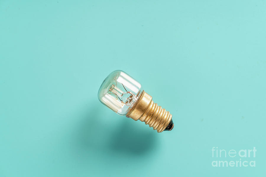 Light Bulb #1 Photograph by Wladimir Bulgar/science Photo Library