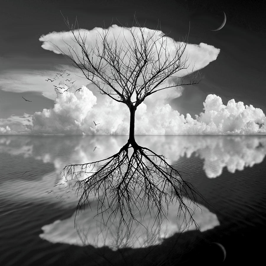 Lightly Touching Water by Marc Ward Lightly Touching Water by Marc Ward