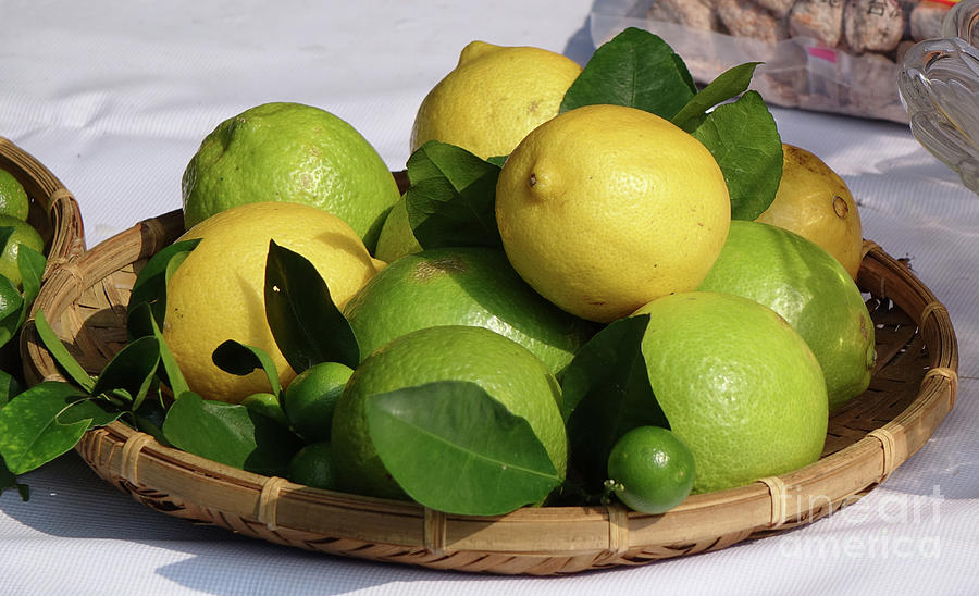 Limes and Lemons by Yali Shi Limes and Lemons by Yali Shi