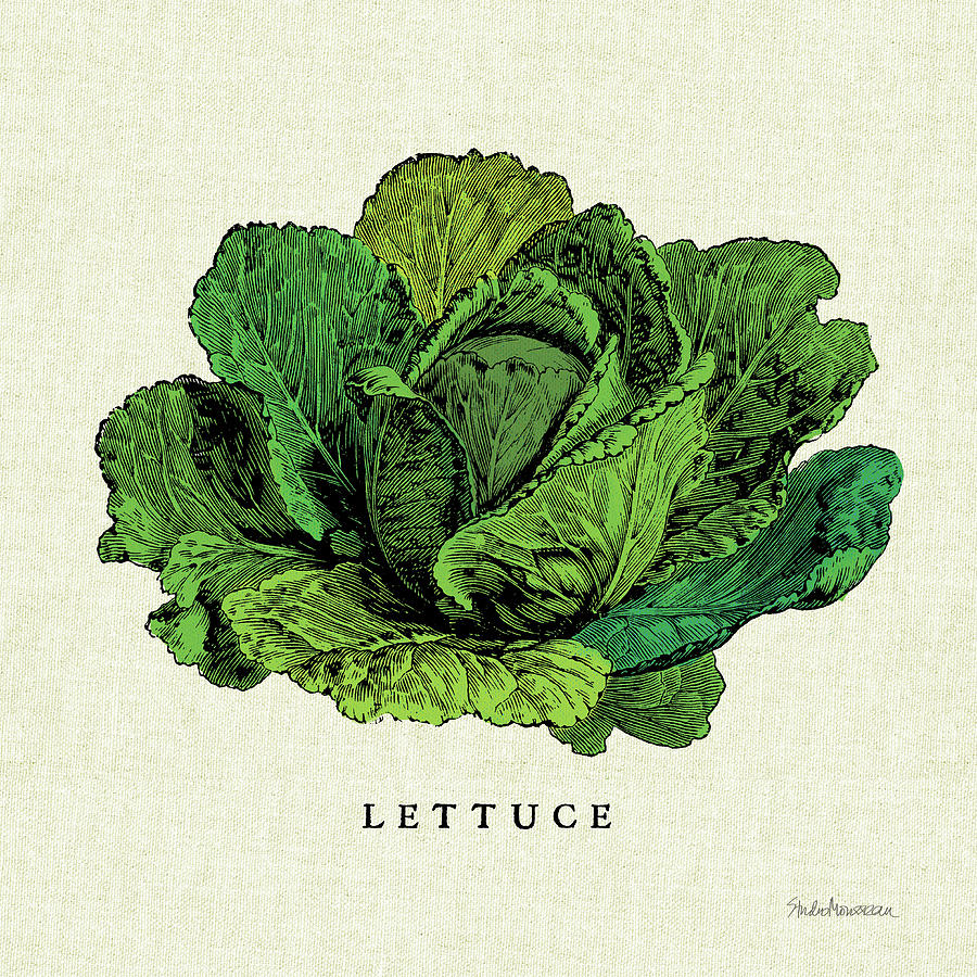 Lettuce Painting - Linen Vegetable II V2 #1 by Studio Mousseau