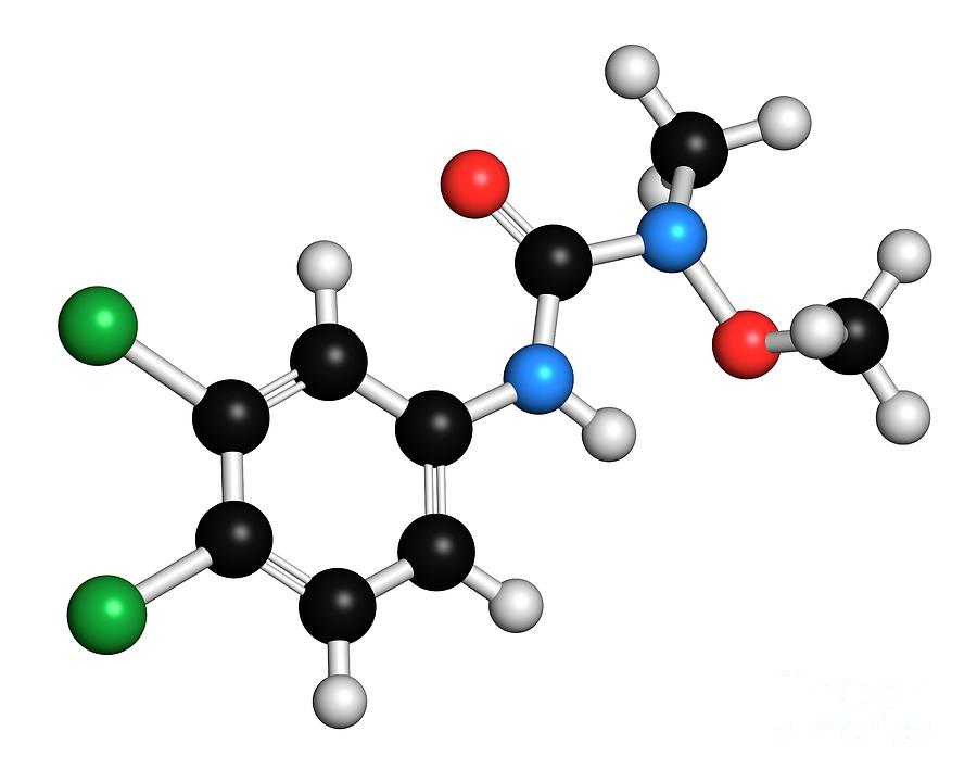 Linuron Herbicide Molecule #1 Photograph by Science Photo Library Linuron Herbicide Molecule #1 Photograph by Science Photo Library