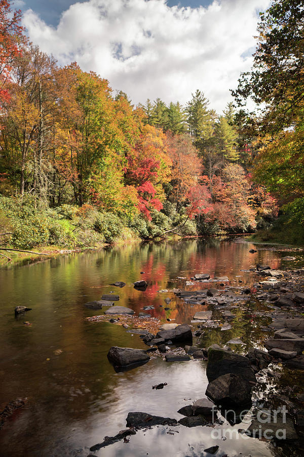 Fall Photograph - Linville River Autumn by Nando Lardi