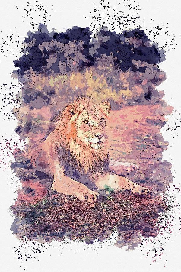 Lion Lying on Ground -  watercolor by Ahmet Asar #1 Painting by Celestial Images