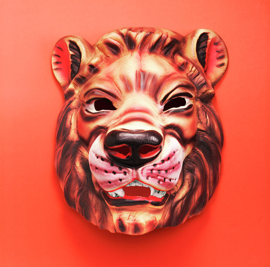 Lion face mask, African lion