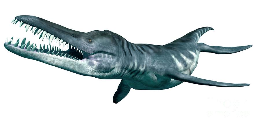 Liopleurodon Photograph by Carlton Publishing Group/science Photo Library