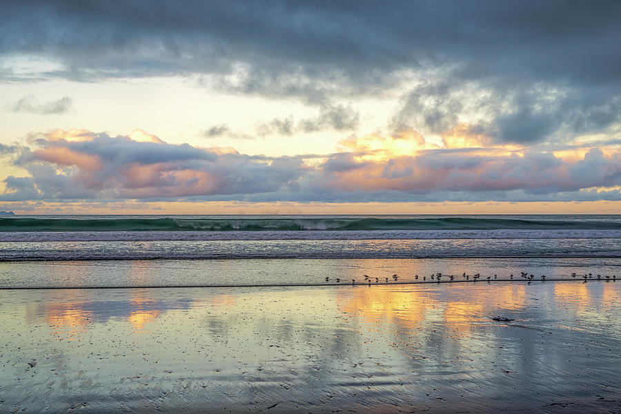 Coronado Photograph - Little Birds And A Sunrise by Joseph S Giacalone