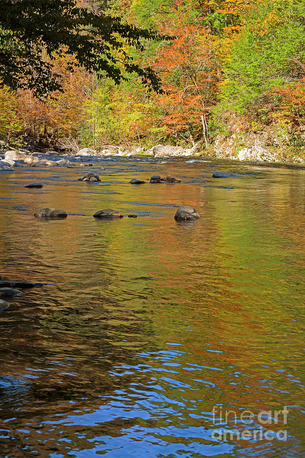 Little River in Autumn in Smoky Mountains National Park #1 Photograph by Louise Heusinkveld