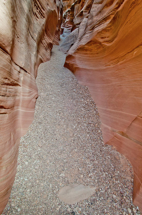 Little Wildhorse Canyon #1 Photograph by William Mullins