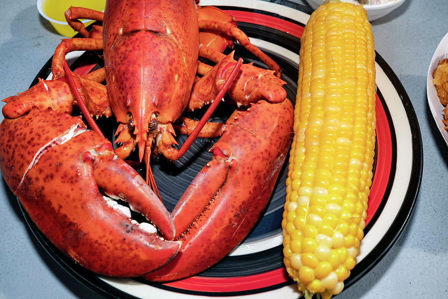 Lobster Dish, Trenton, Maine #1 Digital Art by Claudia Uripos