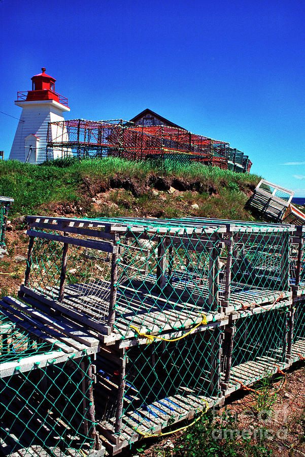Lobster Traps Neils Harbour Lightstation #1 Photograph by Thomas R Fletcher