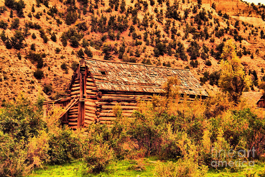 Log barn #1 Photograph by Jeff Swan