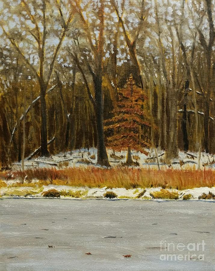 Lone Beech Tree Painting by Deborah Bergren