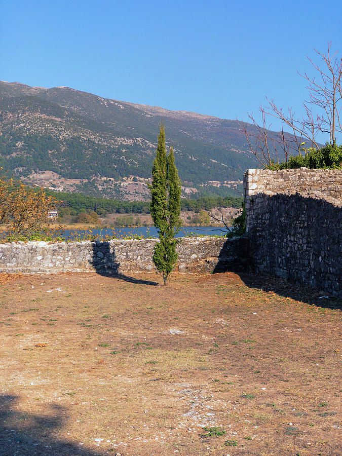 Lonely Tree by Nicholas V K Lonely Tree by Nicholas V K