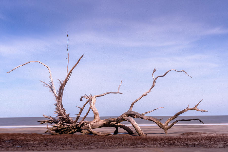 Long Exposure In Driftwood Beach With An Oil Paint Layer Painting