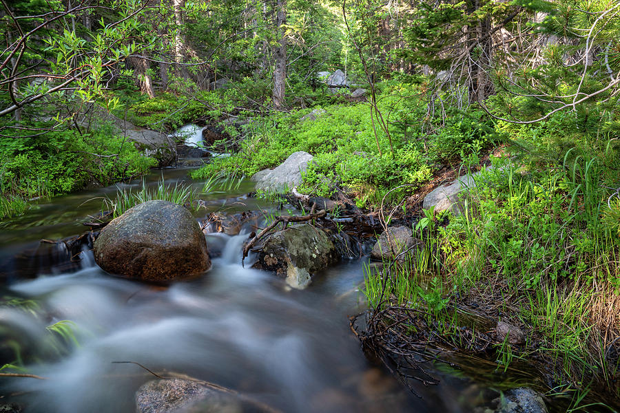 Long Exposure Shot of a Mountain Stream #1 Photograph by Kyle Lee