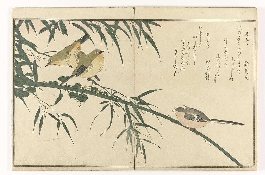 Long-tailed tit and white-eye, Kitagawa Utamaro, 1794 - 1798 #1 Painting by Kitagawa Utamaro