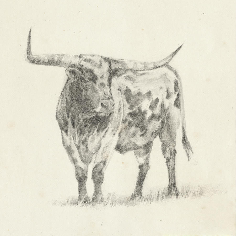 Longhorn Steer Sketch II Painting by Ethan Harper Fine Art America