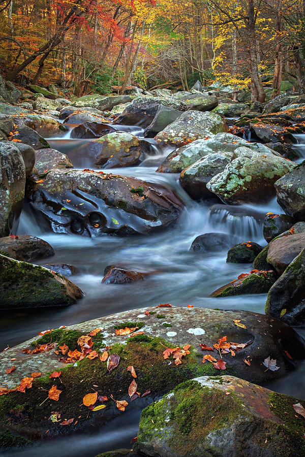 Big Creek, Great Smoky Mountains, Tennessee    Photograph by Harriet Feagin