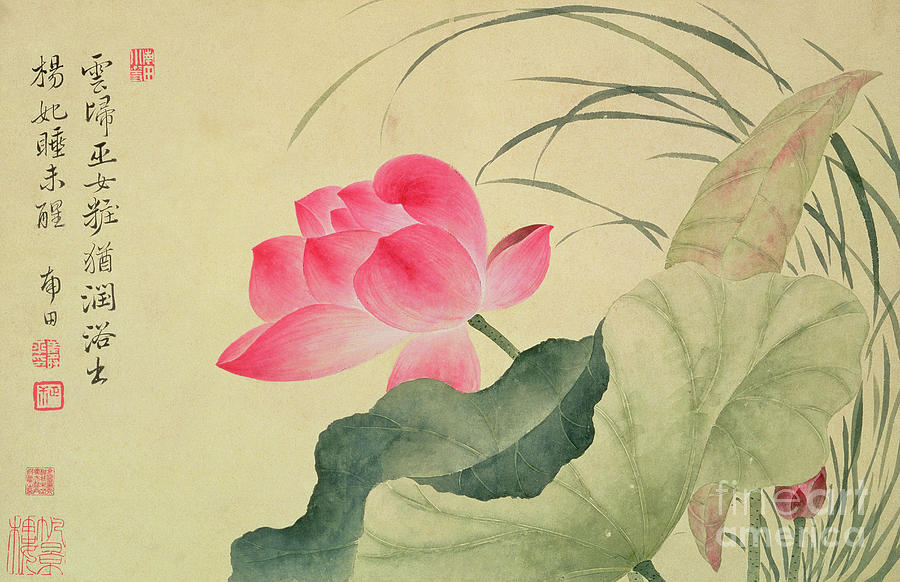 Lotus flower Painting by Yun Shouping