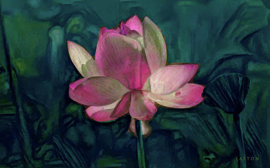 Lotus Light #1 Digital Art by Richard Laeton