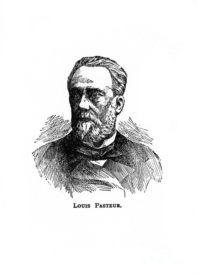 Black And White Drawing - Louis Pasteur, 19th Century French #1 by Print Collector