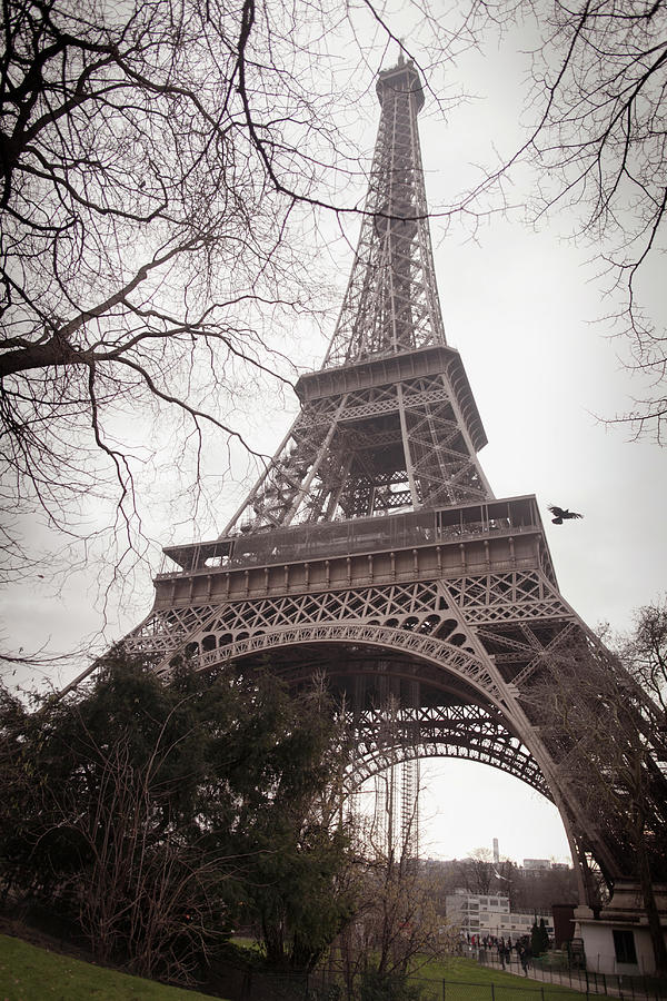 Low Angle View Of Eiffel Tower Against Sky #1 Photograph by Cavan Images Low Angle View Of Eiffel Tower Against Sky #1 Photograph by Cavan Images