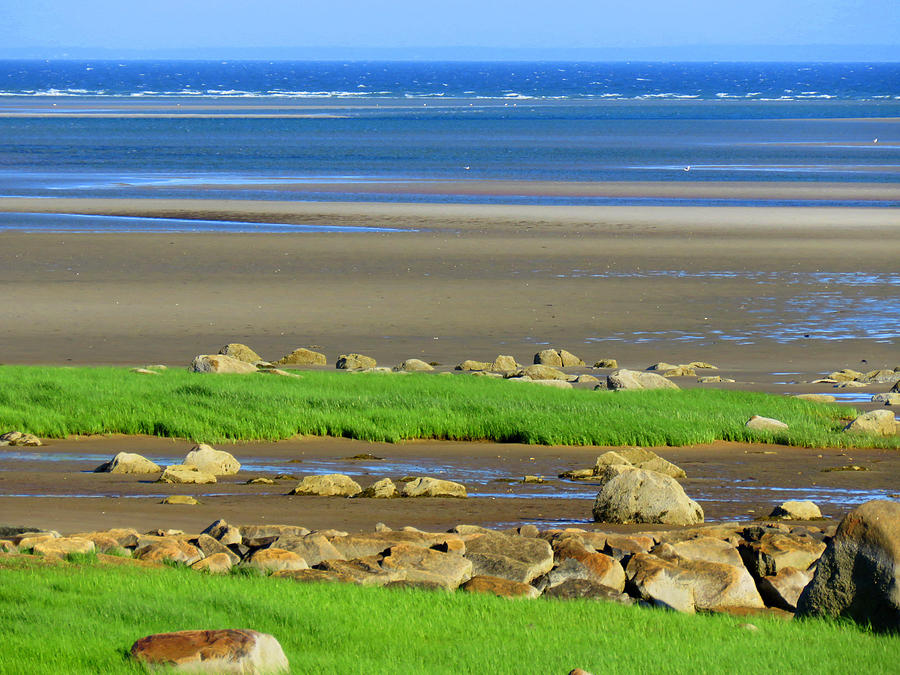 Low Tide in Brewster Photograph by Dianne Cowen Cape Cod and Ocean
