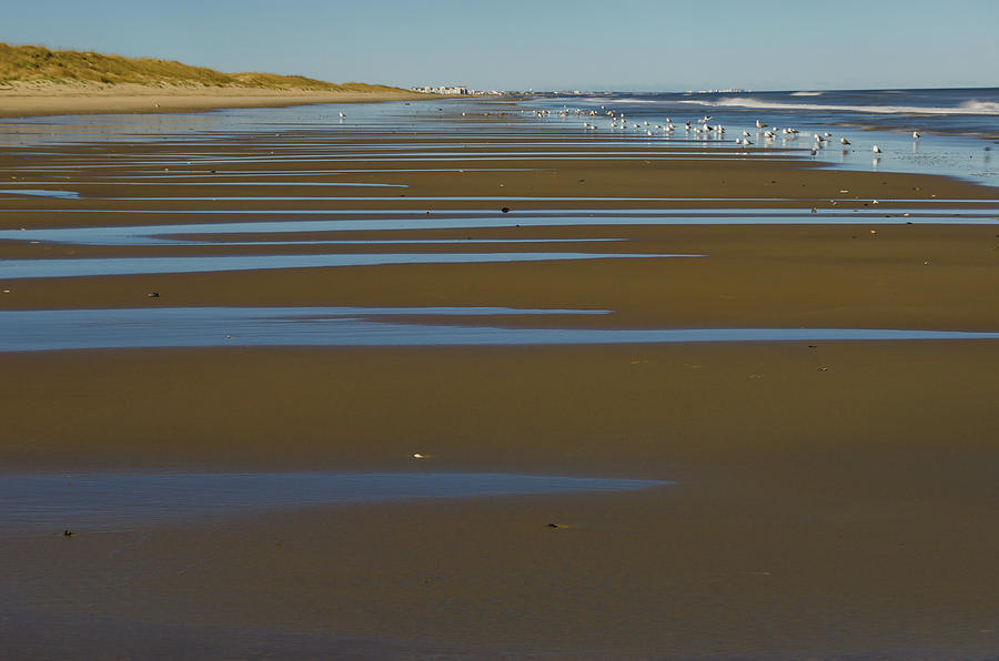 Low Tide #1 Photograph By Mike O'shell - Pixels