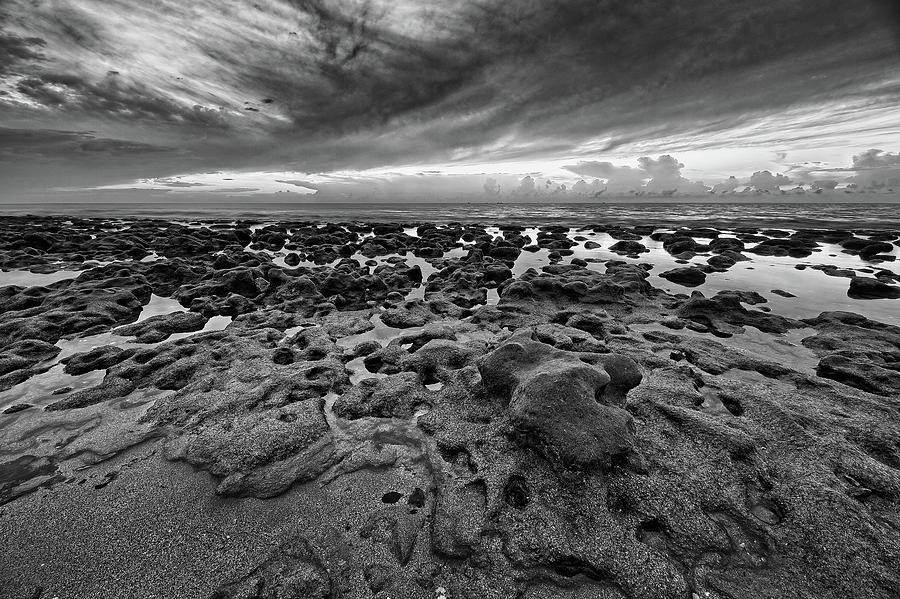 Low Tide Photograph by Steve DaPonte