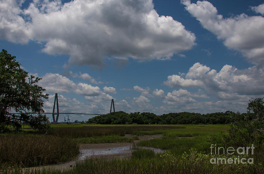Lowcountry Blue Skies #1 Photograph by Dale Powell
