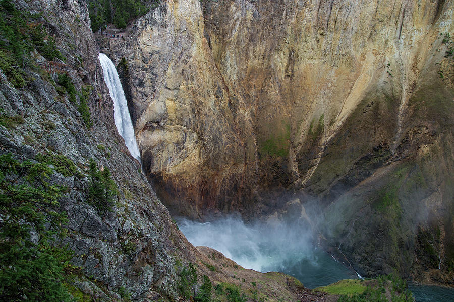 Yellowstone National Park Photograph - Lower Yellowstone Falls #1 by Mark Newman