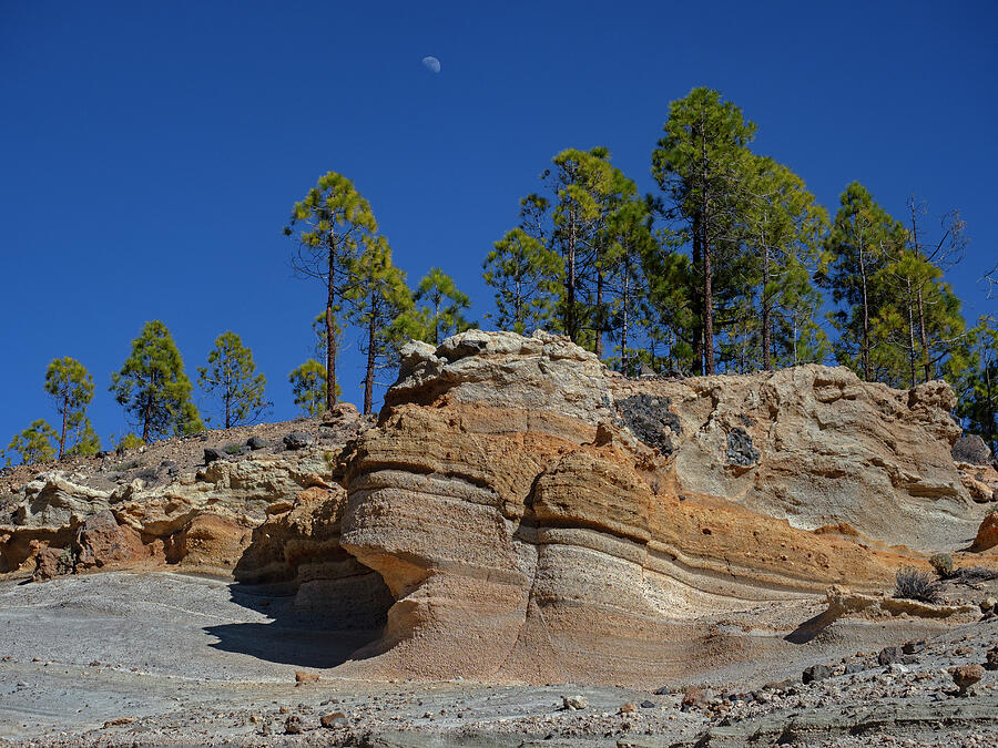 Lunar Landscape Mount Teide National Park Tenerife Canary #1 Photograph by Ernie Janes / Naturepl.com Lunar Landscape Mount Teide National Park Tenerife Canary #1 Photograph by Ernie Janes / Naturepl.com