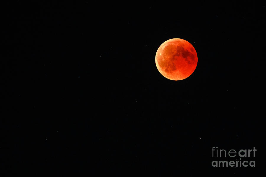 Lunar red eclipse #1 Photograph by Benny Marty