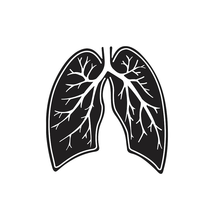 Lungs Drawing by CSA Images | Fine Art America