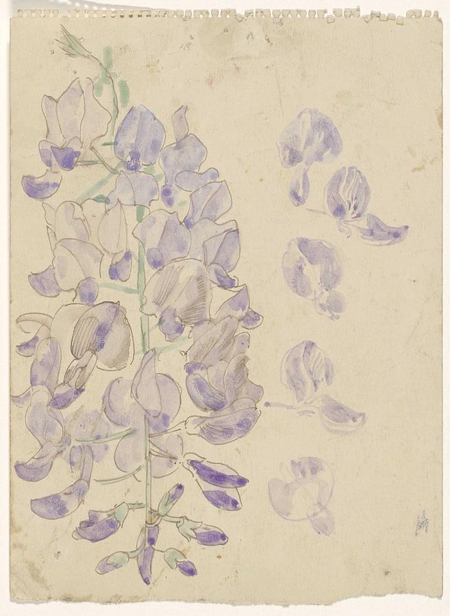 Flower Painting - Lupine, Carel Adolph Lion Cachet, 1874 - 1945 by Carel Adolph Lion Cachet Flower Painting - Lupine, Carel Adolph Lion Cachet, 1874 - 1945 by Carel Adolph Lion Cachet
