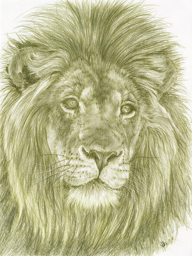 Lion Painting - Lush #1 by Barbara Keith