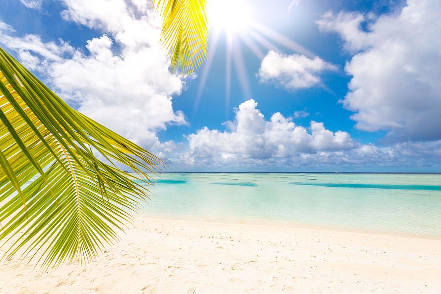 Paradise Photograph - Luxury On Beach. Amazing Seascape, Palm #1 by Levente Bodo