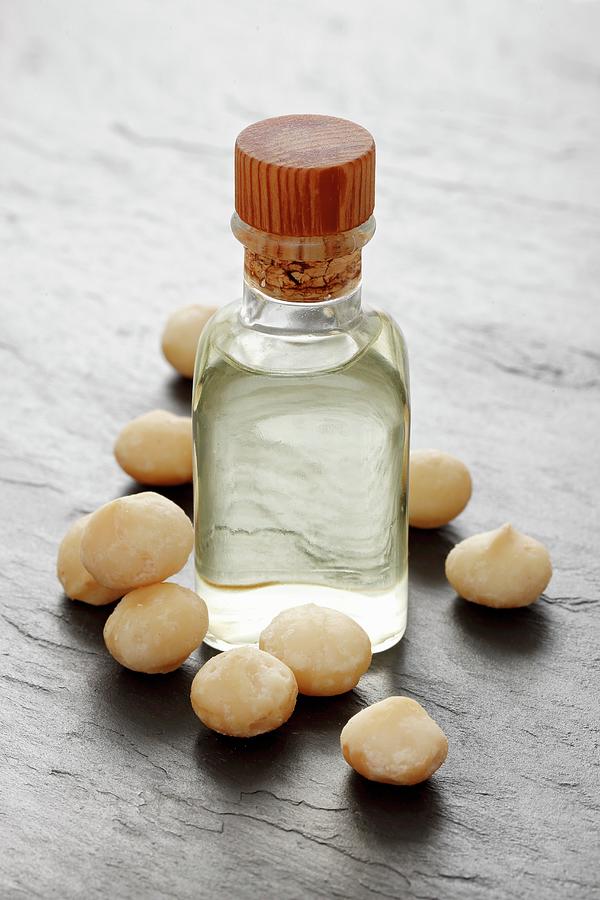 Macadamia Oil And Macadamia Nuts #1 Photograph by Petr Gross