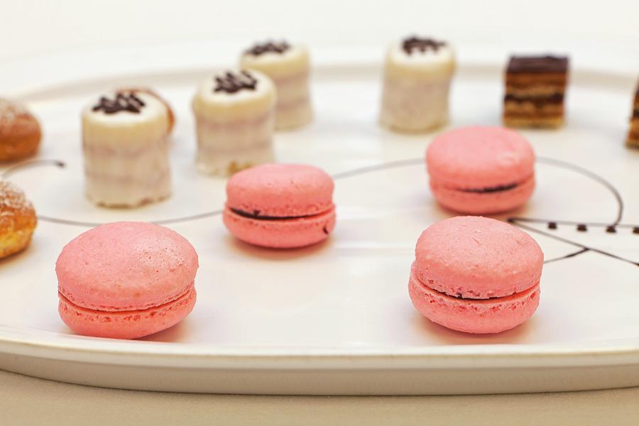 Macaroons And Petit Fours #1 Photograph by Amy Kalyn Sims
