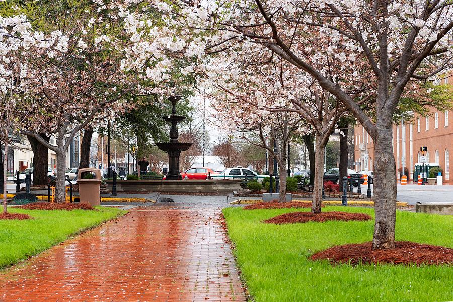 Spring Photograph - Macon, Georgia, Usa Downtown Square #1 by Sean Pavone