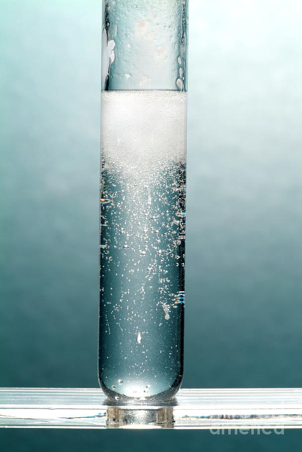 Magnesium Carbonate In Hydrochloric Acid #1 Photograph by Martyn F. Chillmaid/science Photo Library