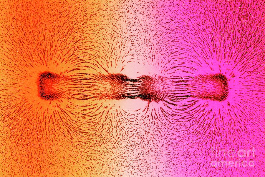 Magnetic Attraction #1 Photograph by Martyn F. Chillmaid/science Photo Library