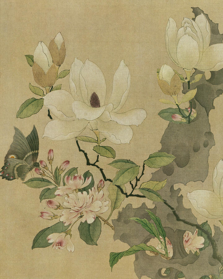 Flower Painting - Magnolia And Butterfly #1 by Unknown