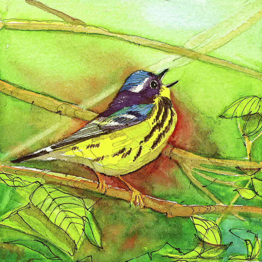 Magnolia Movie Painting - Magnolia Warbler #3 by Dave Whited