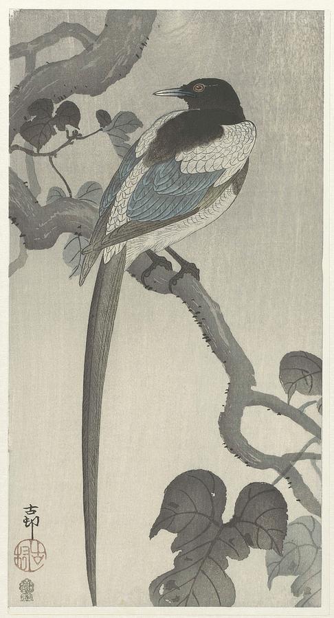 Wildlife Painting - Magpie On Tree Branch by Ohara Koson