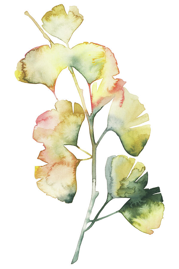 Botanical Painting - Maidenhair Branch I #1 by Grace Popp