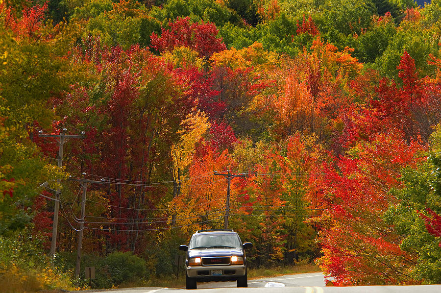 Maine, Acadia National Park, Autumn #1 Digital Art by Franco Cogoli